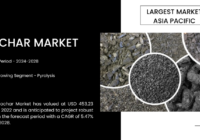 The biochar market reached $453.23 million in 2022 and is expected to grow at a 5.47% CAGR from 2024 to 2028. Free Sample Report.