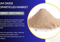 The Cerium Oxide Nanoparticles Market hit USD 565.23 million in 2022 and is poised for a 12.44% CAGR growth from 2024 to 2028.