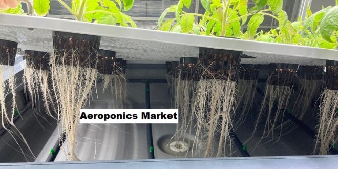 Global Aeroponics Market