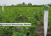 Global Agricultural Pheromones Market