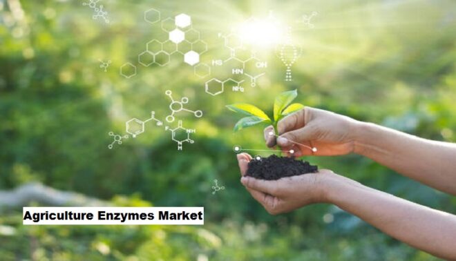 Global Agriculture Enzymes Market