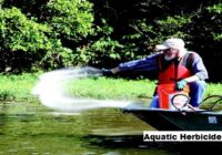 Global Aquatic Herbicides Market