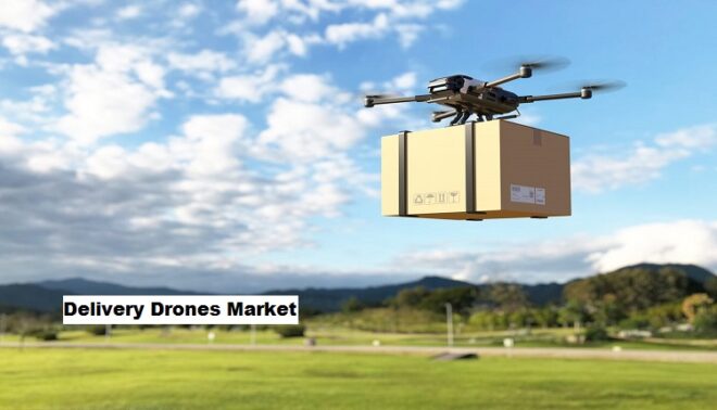 Global Delivery Drones Market