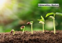 Global Gibberellins Market