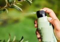 Global Insect Repellent Active Ingredients Market