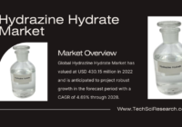 The Hydrazine Hydrate Market, valued at USD 430.15 million in 2022, is expected to grow at a CAGR of 4.69% during the forecast from 2024 to 2028.