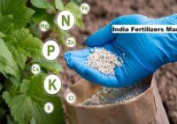 India Fertilizers Market