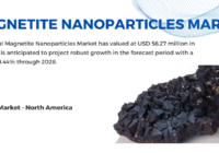 The Magnetite Nanoparticles Market, valued at USD 56.27 million in 2022, is expected to grow at a CAGR of 9.44% during forecast from 2024 to 2028.