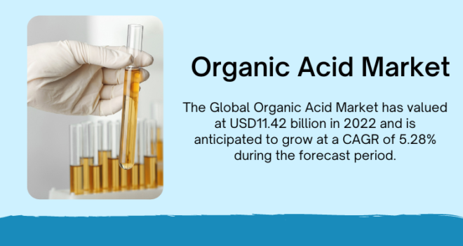 The Organic Acid Market reached USD 11.42 billion in 2022 and is expected to grow at a 5.28% CAGR through 2028. Free Sample.