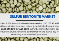 The Sulfur Bentonite Market reached USD 103.45 million in 2022 and is projected to grow at a 5.13% CAGR from 2024 to 2028.