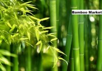 Bamboo Market