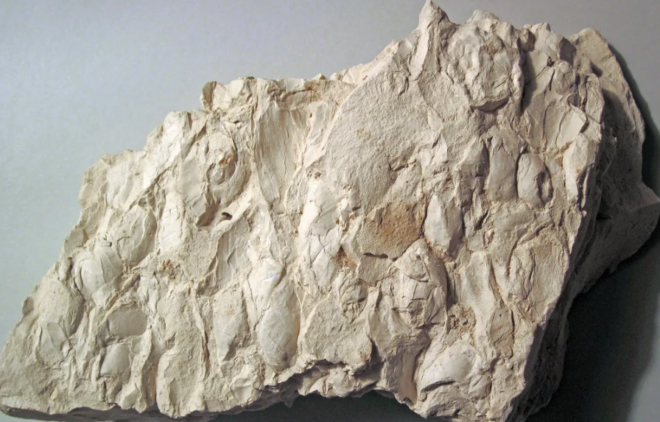 The diatomite market is anticipated to increase at an impressive rate during the forecast period, 2024-2028. Free Sample Report Now.