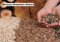 Global Biomass Briquettes Market