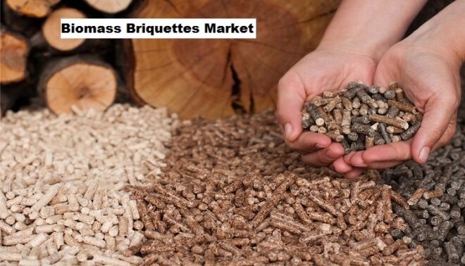 Global Biomass Briquettes Market