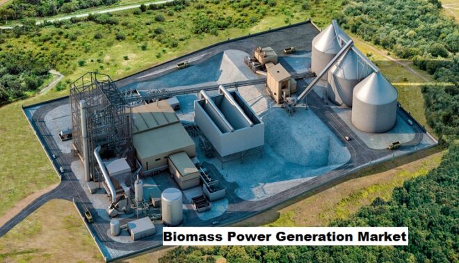 Global Biomass Power Generation Market