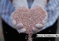 Global Boron Fertilizers Market