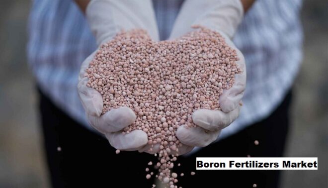 Global Boron Fertilizers Market