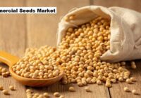 Global Commercial Seeds Market