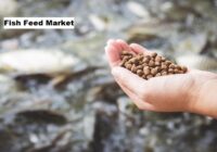 Global Fish Feed Market