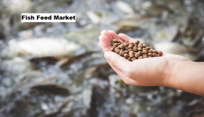 Global Fish Feed Market