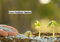 Global Frass Fertilizer Market