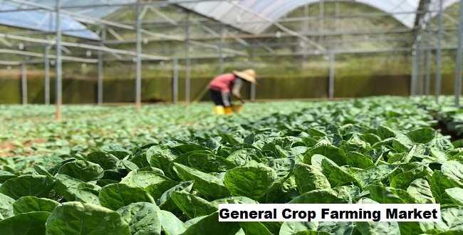 Global General Crop Farming Market