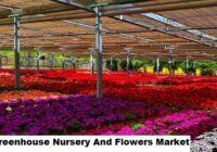 Global Greenhouse Nursery And Flowers Market