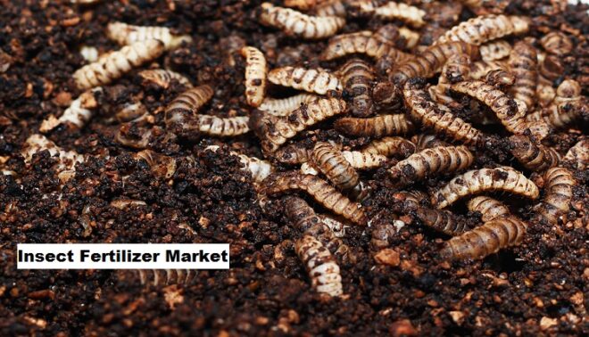 Global Insect Fertilizer Market