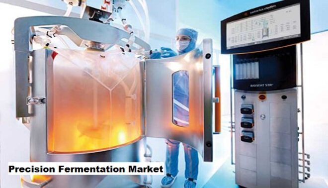 Precision Fermentation Market