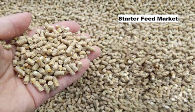 Global Starter Feed Market