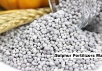 Global Sulphur Fertilizers Market