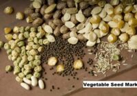 Global Vegetable Seed Market