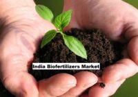 India Biofertilizers Market