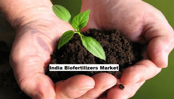 India Biofertilizers Market