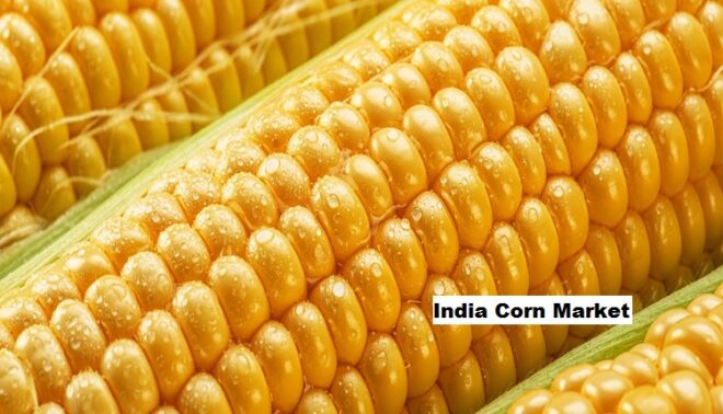 India Corn Market