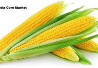 India Corn Market