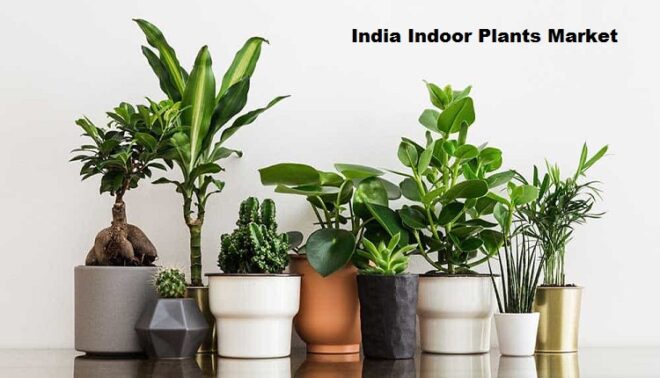 India Indoor Plants Market