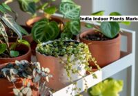 India Indoor Plants Market