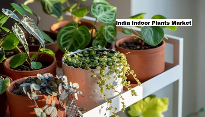 India Indoor Plants Market