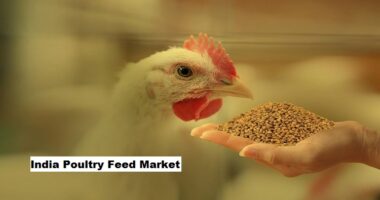 India Poultry Feed Market