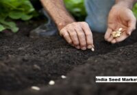 India Seed Market