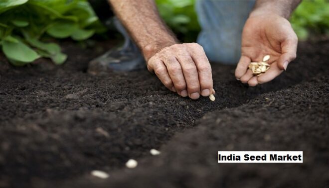 India Seed Market