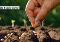 India Seeds Market