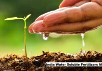 India Water Soluble Fertilizers Market