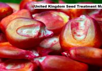 United Kingdom Seed Treatment Market