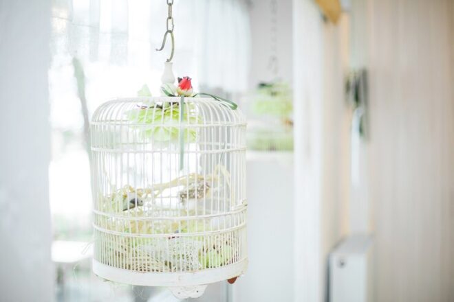 Global Bird Cages and Accessories Market stood at USD 3.5 billion in 2023 and may grow in the forecast with a CAGR of 5.5% through 2029.