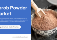 The Global Carob Powder Market stood at USD 26.82 Million in 2023 and may grow in the forecast with a CAGR of 4.6% by 2029.