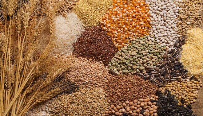 Global Commercial Seeds Market