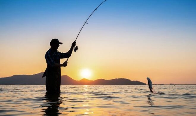 Global Fishing, Hunting And Trapping Market