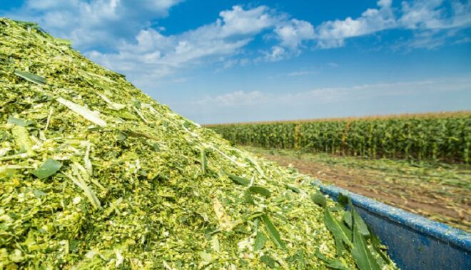 Global Forage Analysis Market